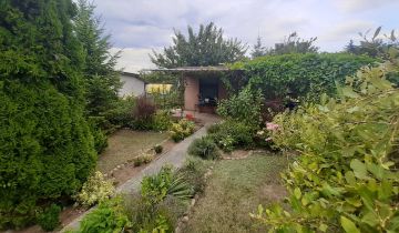 Działka rod Ciechocinek, ul. Adama Mickiewicza