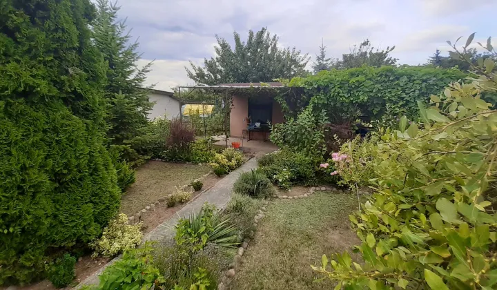 Działka rod Ciechocinek, ul. Adama Mickiewicza