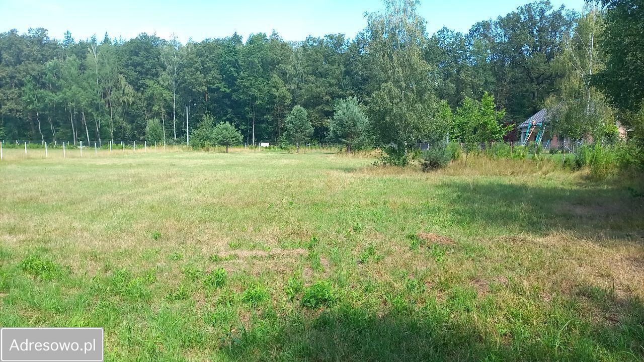 Działka budowlana Leśne Odpadki. Zdjęcie 17