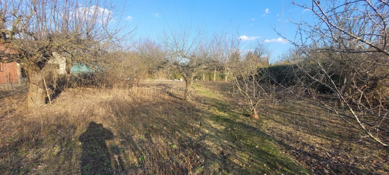 Działka rod Skierniewice. Zdjęcie 4