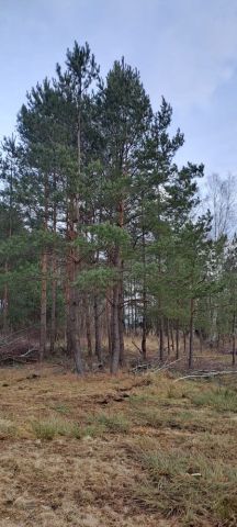 Działka rolna Antoniów. Zdjęcie 1