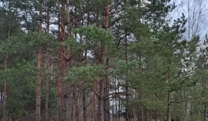 Działka rolna Antoniów