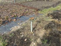 Działka rod Wrocław Kuźniki, ul. Koszalińska. Zdjęcie 1