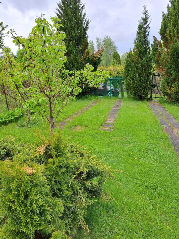 Działka rod Olsztyn. Zdjęcie 4
