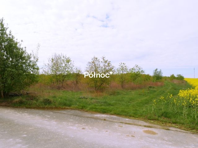 Działka rolna Przesieczany. Zdjęcie 3