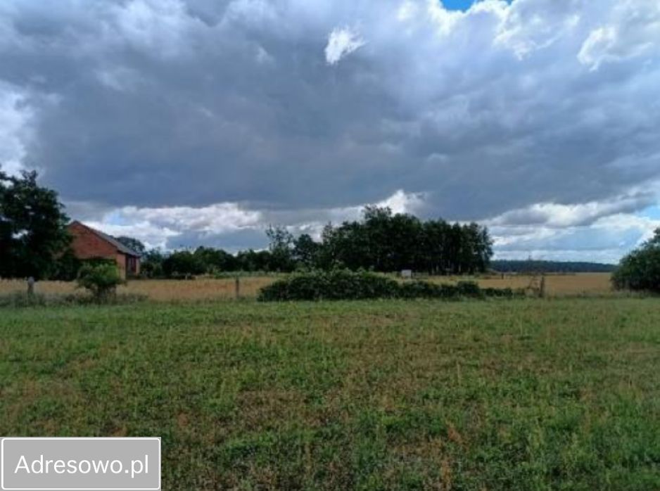 dom wolnostojący, 4 pokoje Mieleszyn. Zdjęcie 12