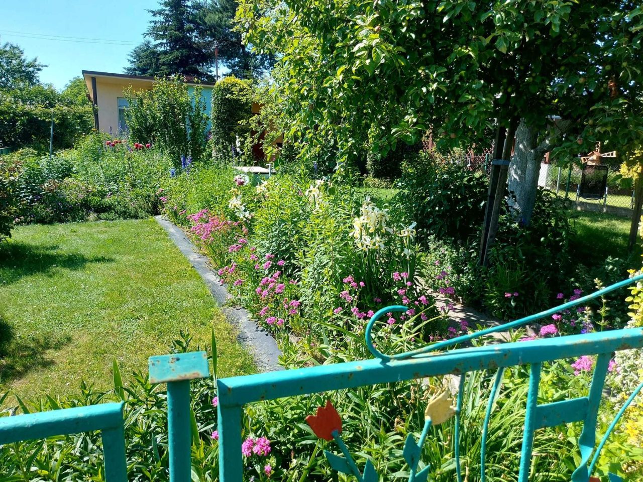Działka rod Tychy, ul. Oświęcimska. Zdjęcie 2