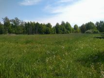 Działka budowlana Teodorów. Zdjęcie 3