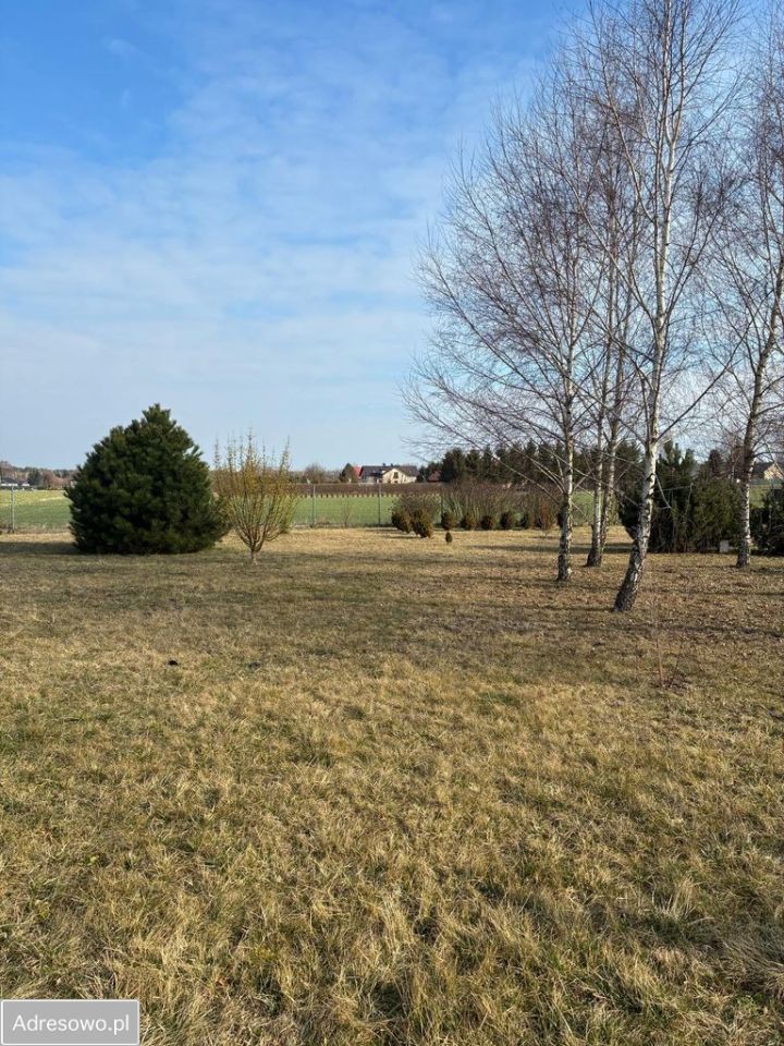 Działka rolno-budowlana Osmolice Pierwsze. Zdjęcie 3