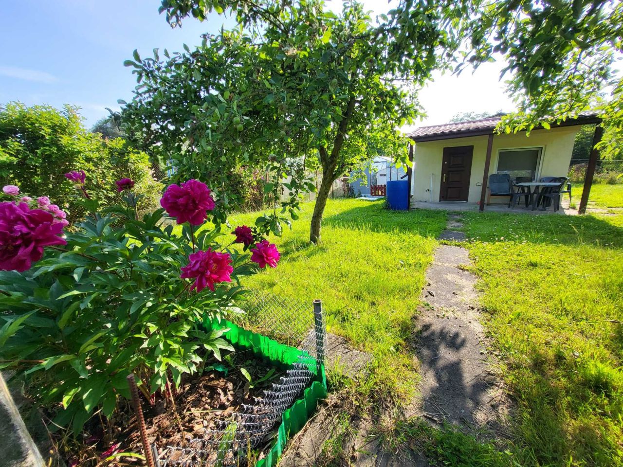 Działka rod Szczecin Bukowo, ul. Górna. Zdjęcie 6