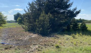 Działka rolno-budowlana Brzozówka