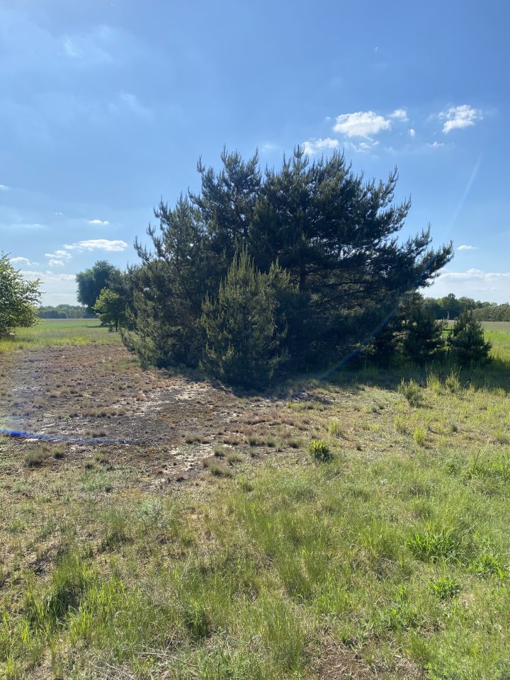 Działka rolno-budowlana Brzozówka. Zdjęcie 2