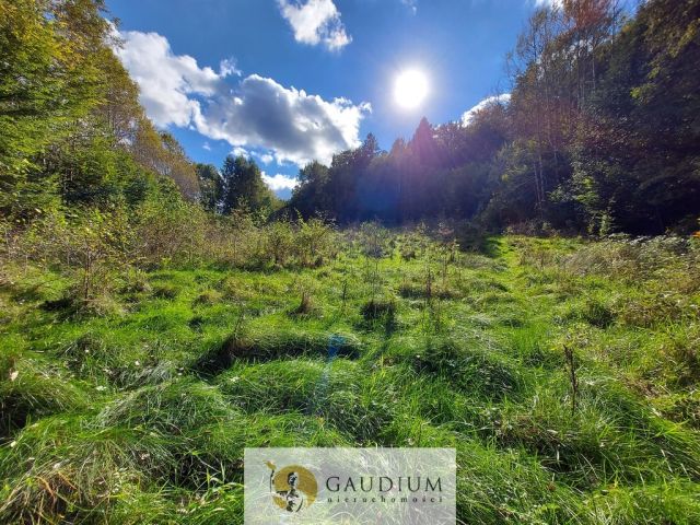 Działka Kobysewo, ul. Klasztorna. Zdjęcie 7