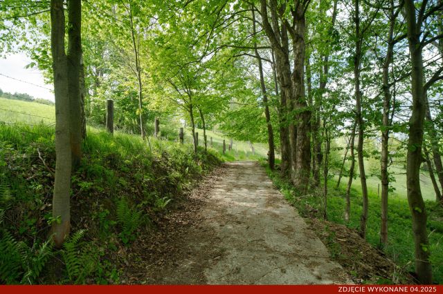 Działka budowlana Konradów. Zdjęcie 9