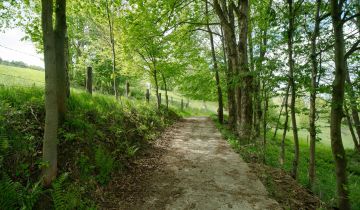 Działka budowlana Konradów, Konradów