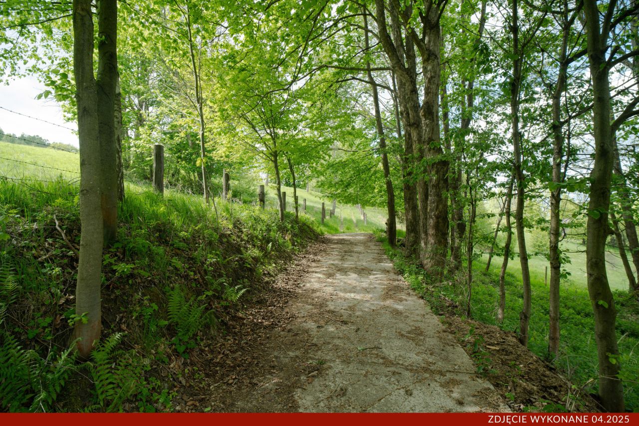 Działka budowlana Konradów. Zdjęcie 9