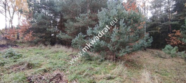 Działka budowlana Tłumy. Zdjęcie 6