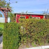 Działka rod Sztum, ul. Kasprowicza. Zdjęcie 1