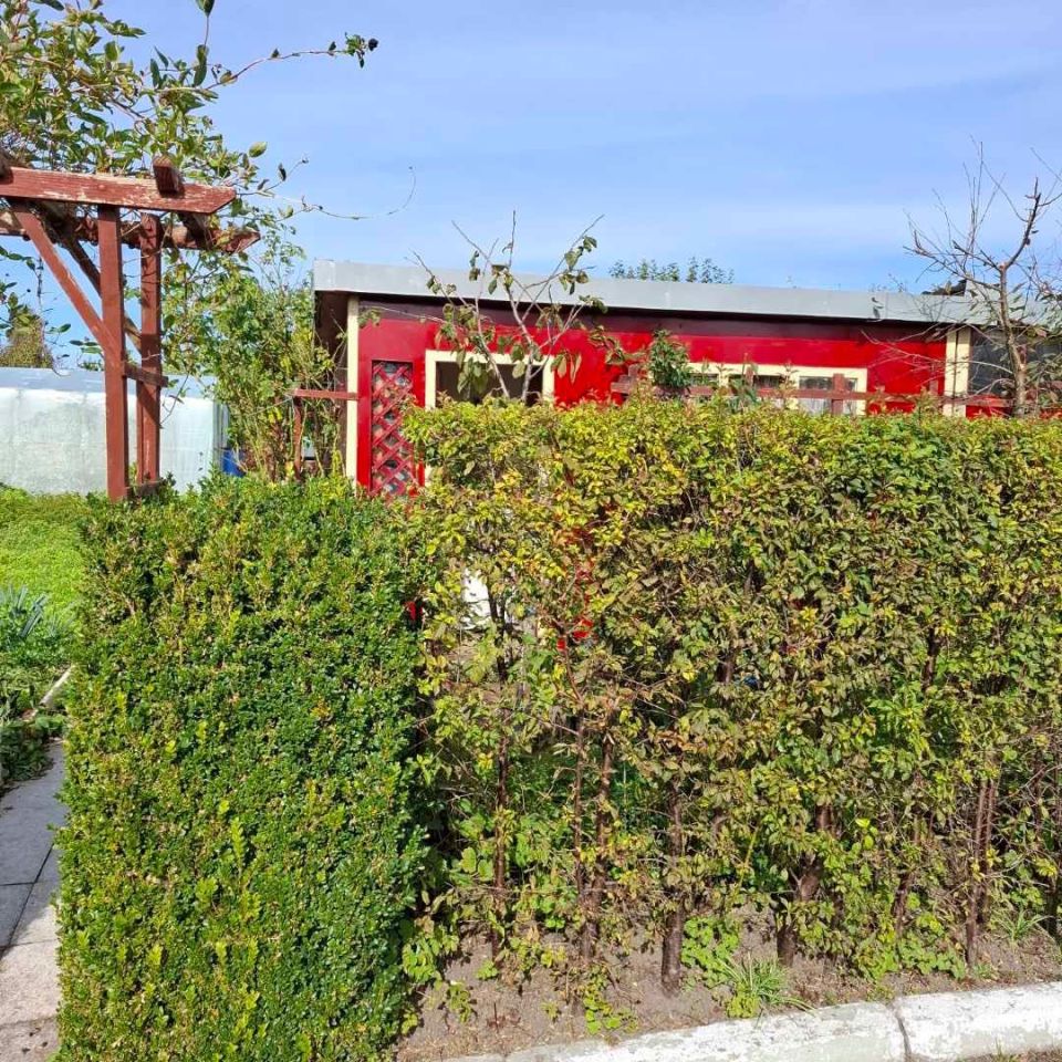 Działka rod Sztum, ul. Kasprowicza. Zdjęcie 2