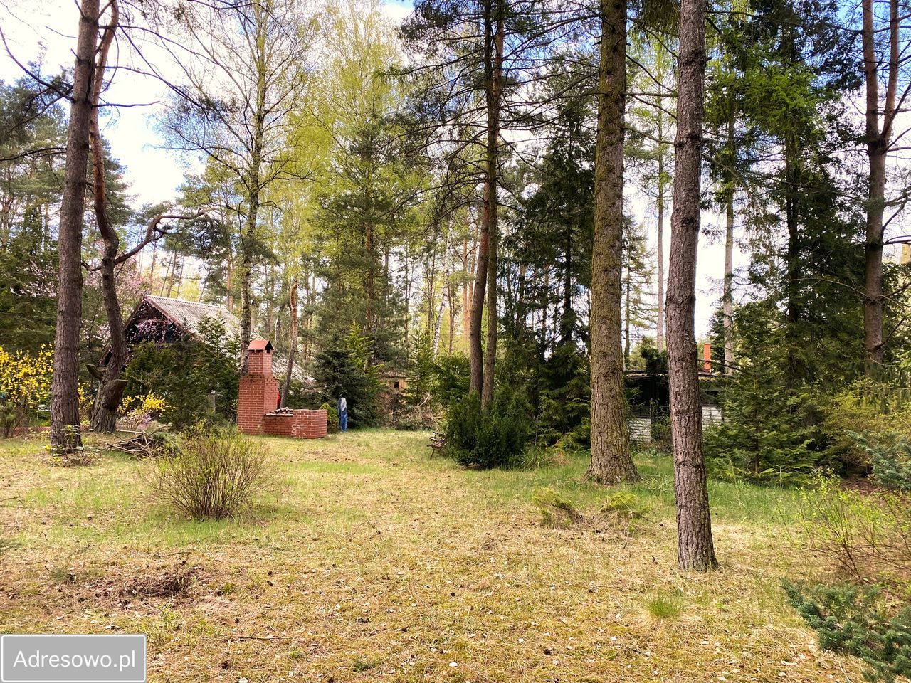 Działka budowlana Rokitnica. Zdjęcie 1