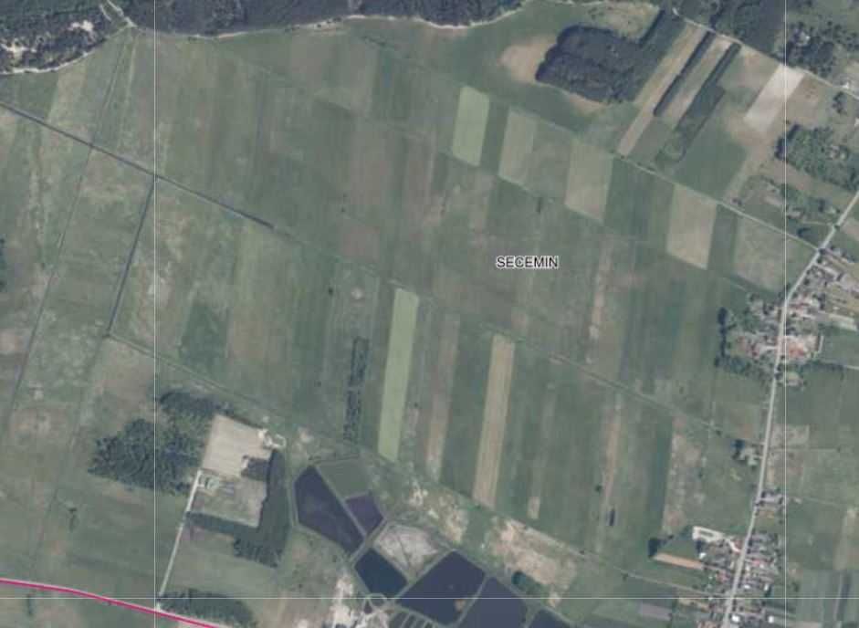 Działka rolna Secemin. Zdjęcie 3