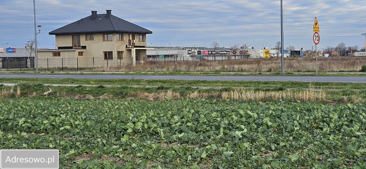 Działka inwestycyjna Opinogóra Górna. Zdjęcie 3