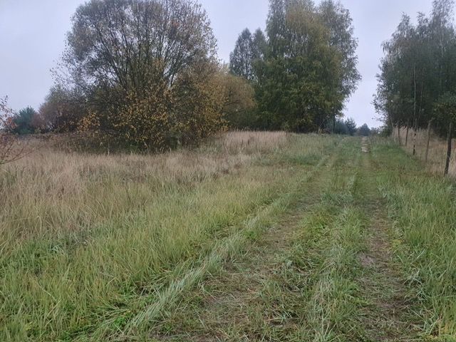 Działka budowlana Trzepnica