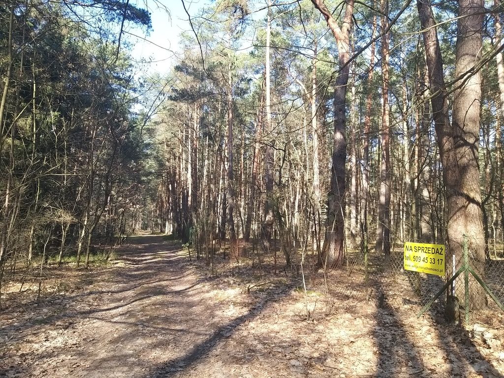 Działka leśna Osiedle Wilga. Zdjęcie 5