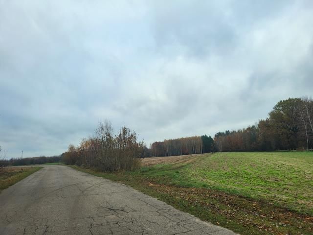 Działka rekreacyjna Wola Młocka. Zdjęcie 7