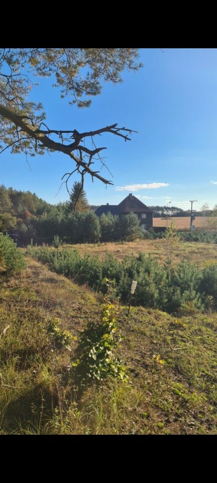 Działka budowlana Wersk. Zdjęcie 4