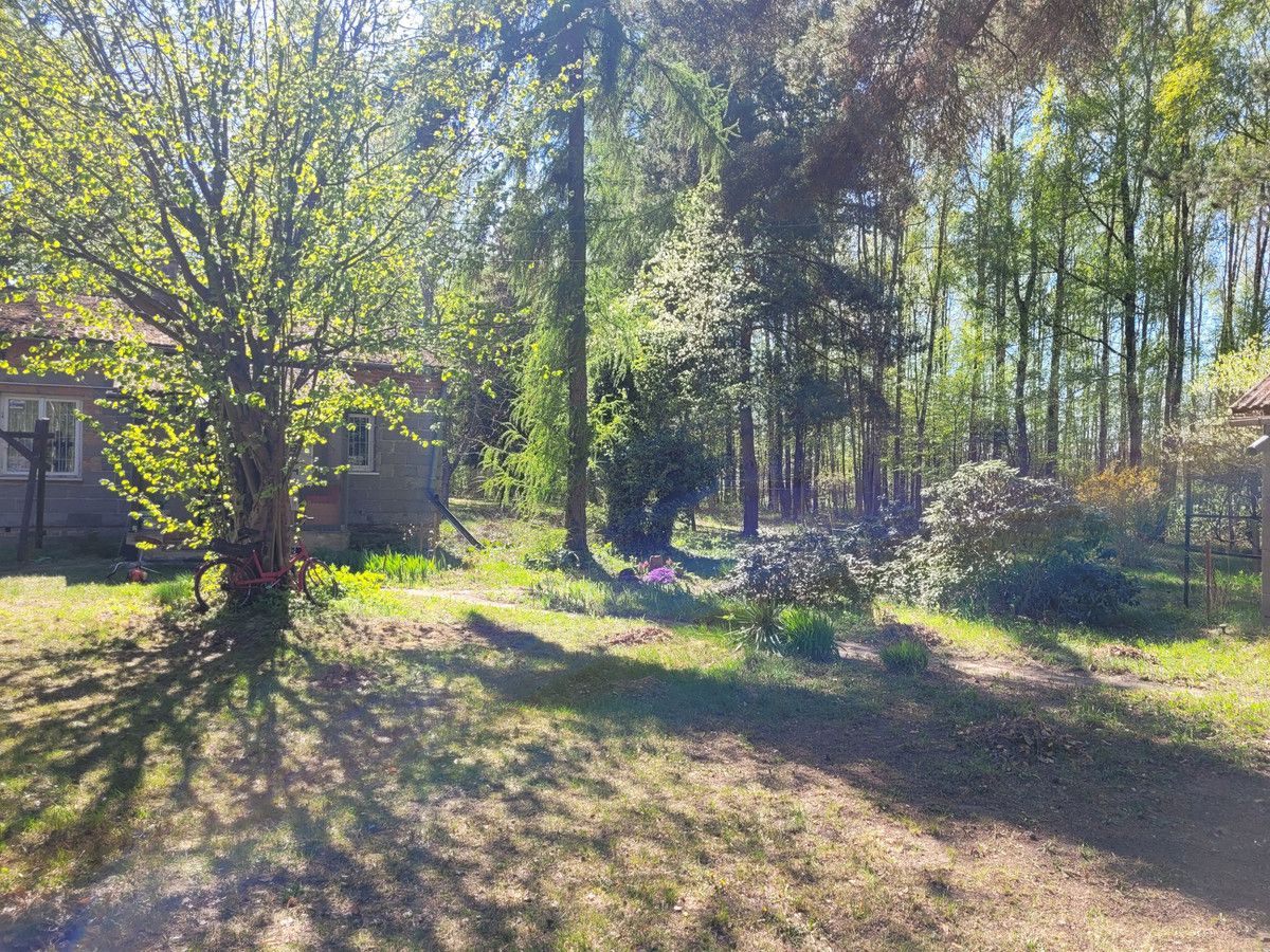 siedlisko Zaręby, ul. Kuropatwy. Zdjęcie 14