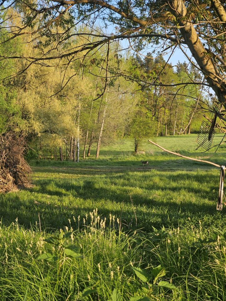 Działka budowlana Tenczynek. Zdjęcie 2