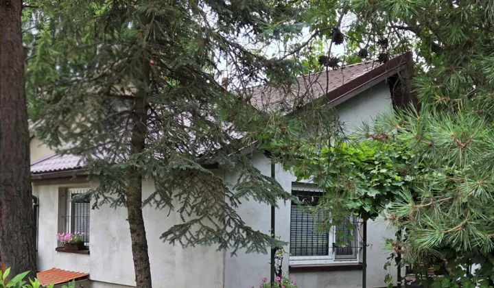 Działka rod Poznań Wilda, ul. Droga Dębińska