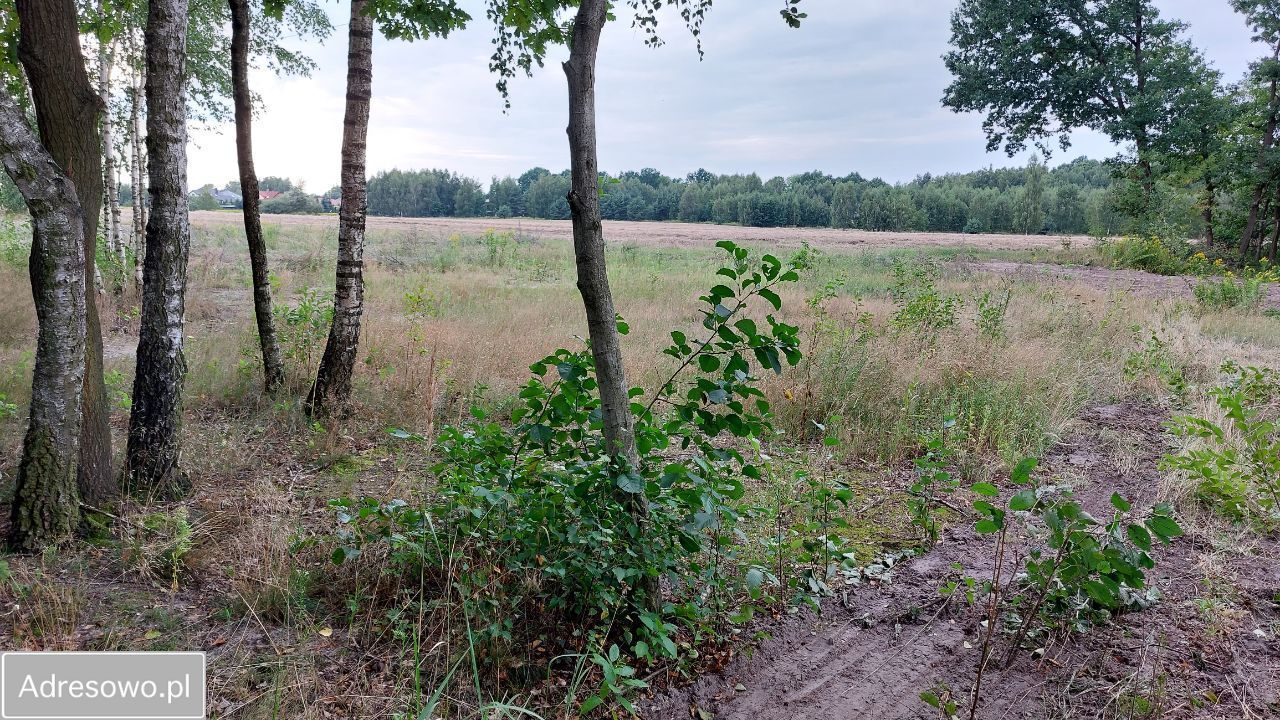 Działka budowlana Strzelce Górne, ul. Kasztanowa. Zdjęcie 3