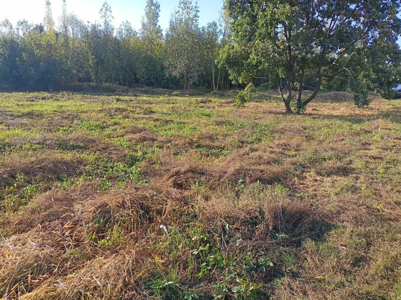 Działka inwestycyjna Siedlce Centrum, ul. Kazimierza Przerwy-Tetmajera. Zdjęcie 2