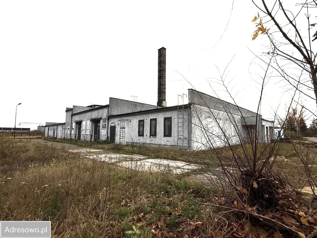 Hala/magazyn Krężoły, ul. Wolsztyńska. Zdjęcie 13