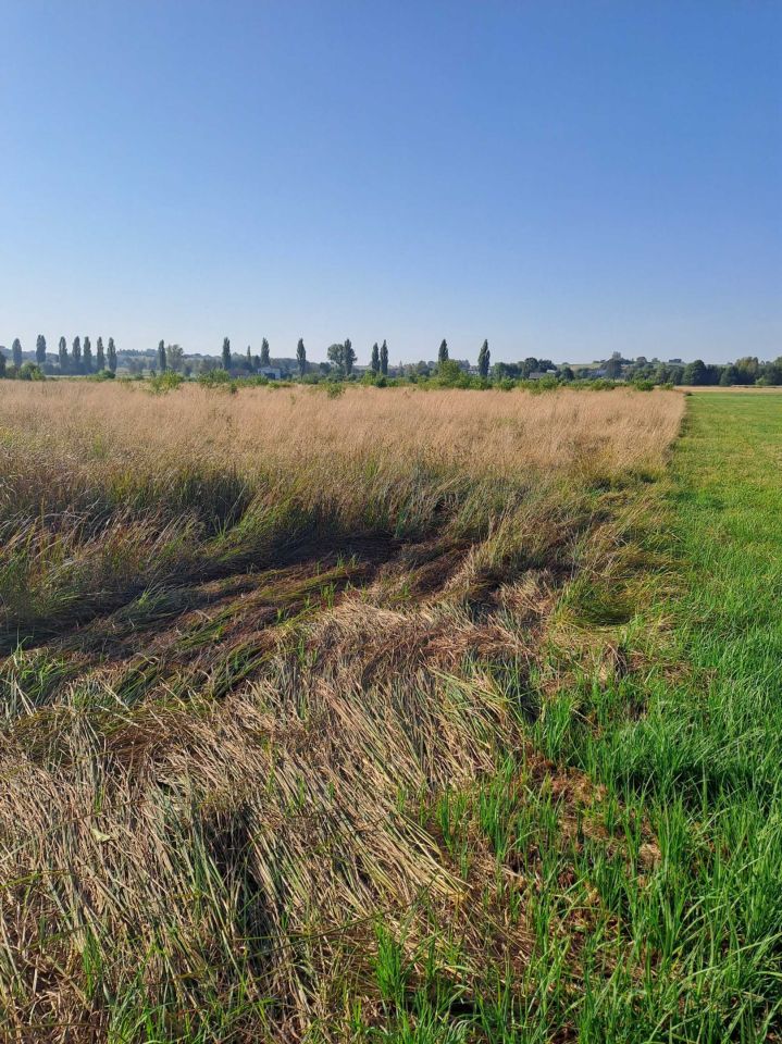 Działka budowlana Tąpkowice. Zdjęcie 4