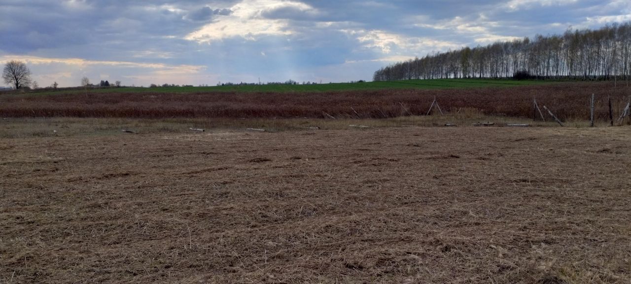 Działka budowlana Swoboda. Zdjęcie 4