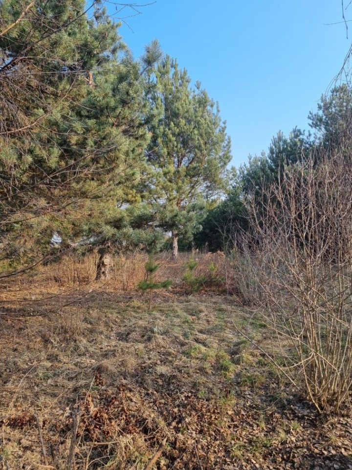 Działka budowlana Tołcze. Zdjęcie 2