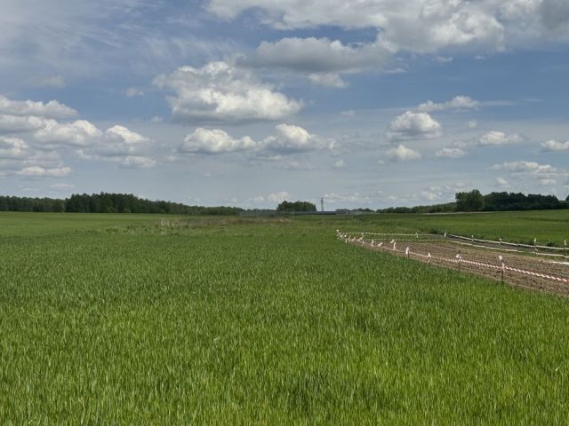Działka rolno-budowlana Szynwałd. Zdjęcie 1