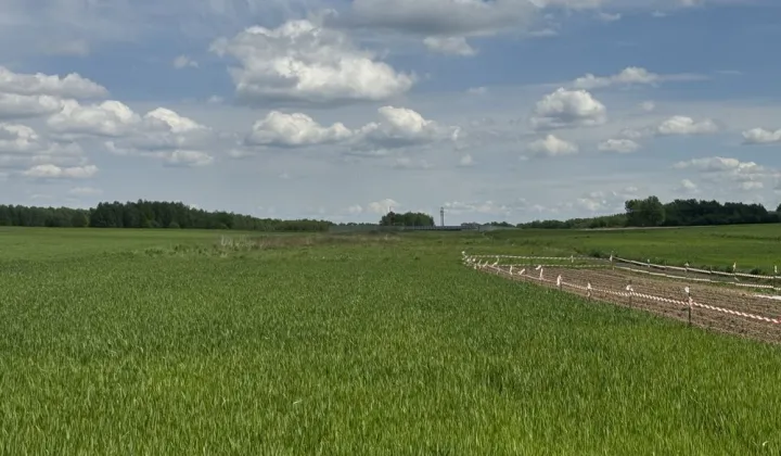 Działka rolno-budowlana Szynwałd