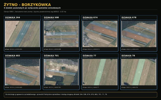 Działka rolna Borzykówka. Zdjęcie 1