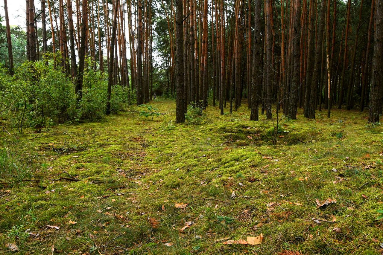Działka budowlana Turna Duża. Zdjęcie 18