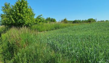 Działka rolno-budowlana Osiecz Mały