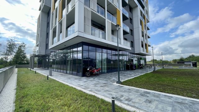 Biuro Rzeszów, rondo im. Żołnierzy 10 Sudeckiej Dywizji Piechoty. Zdjęcie 4