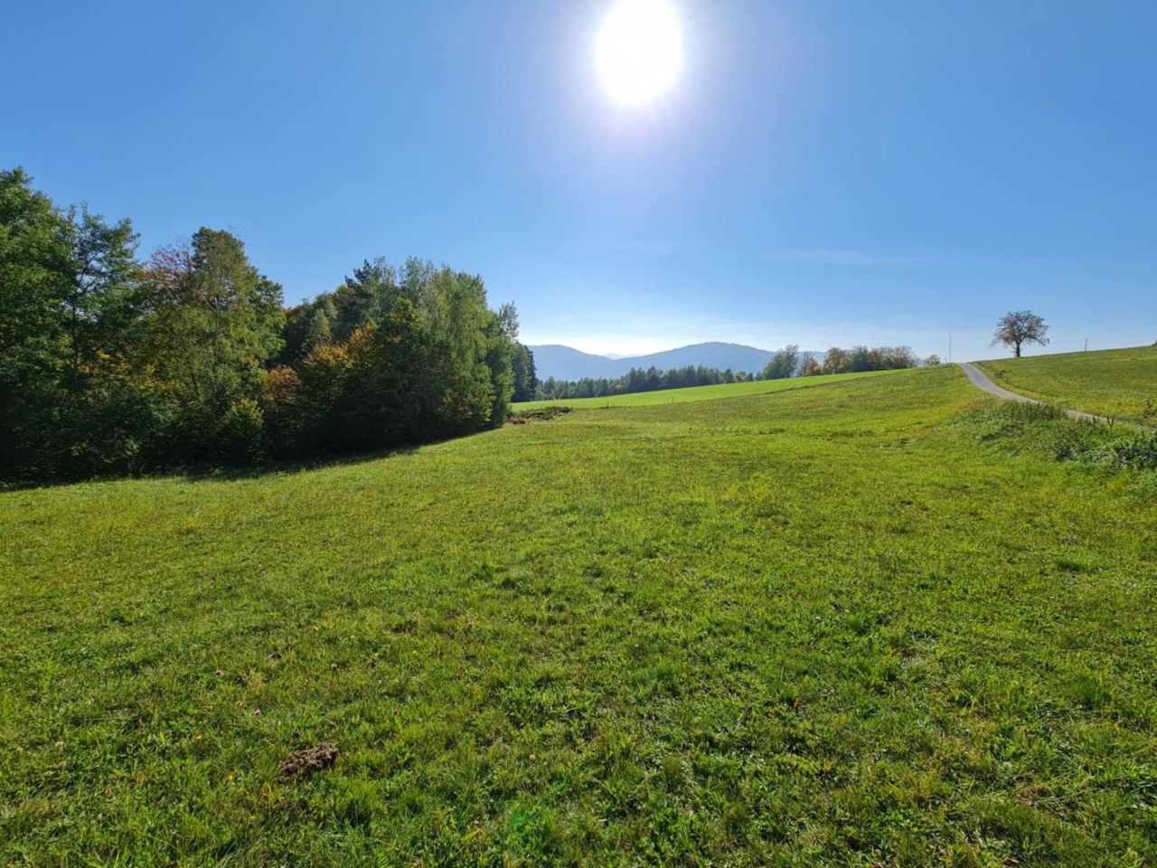 Działka Łosie. Zdjęcie 2