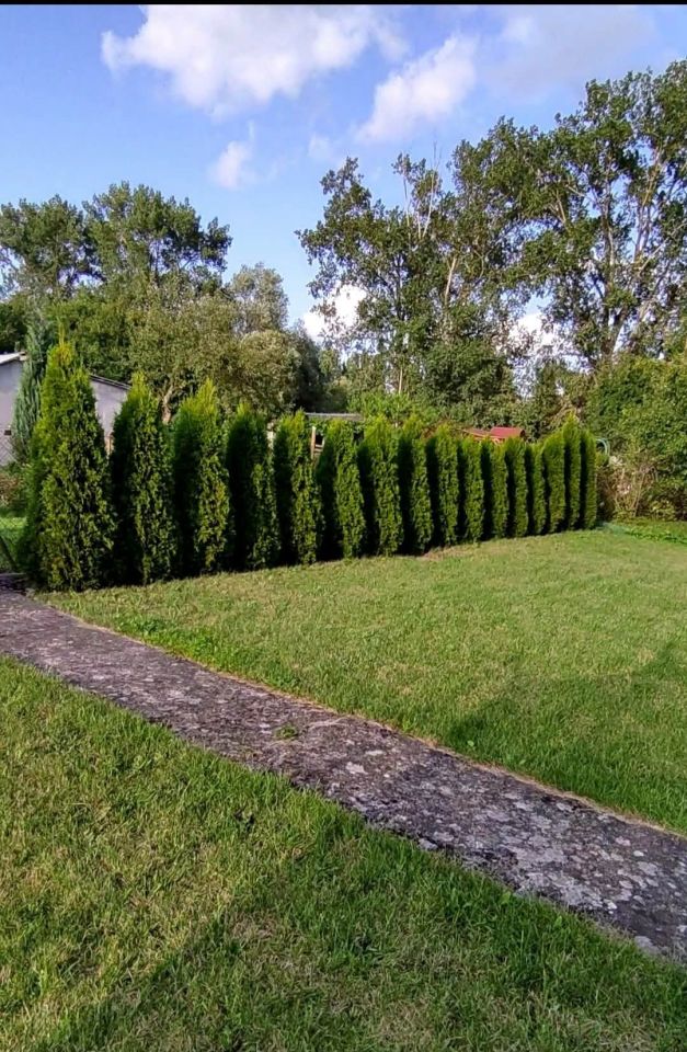 Działka rod Nowogard, ul. Zamkowa. Zdjęcie 6