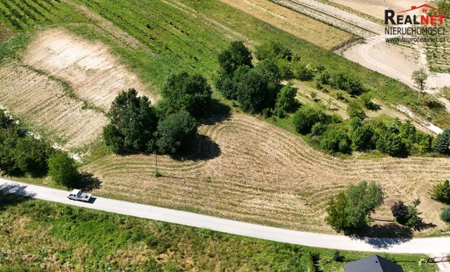 Działka rolno-budowlana Strzałków. Zdjęcie 3