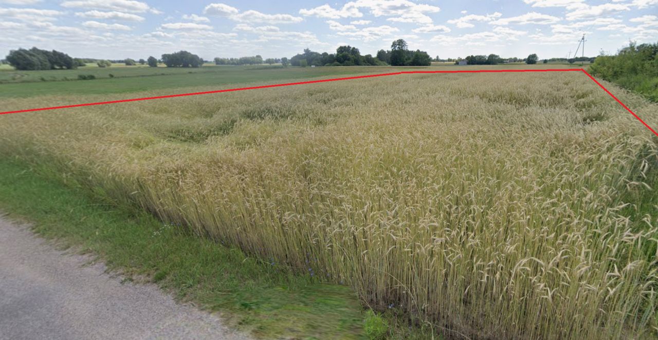 Działka rolno-budowlana Kozłowo. Zdjęcie 3