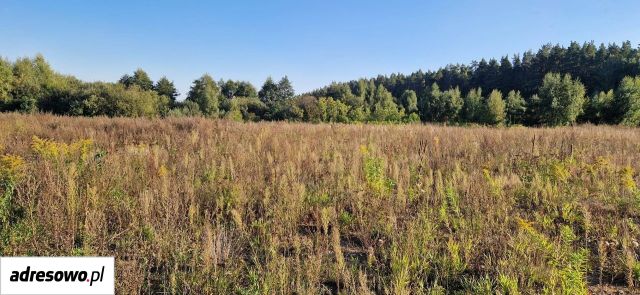 Działka budowlana Kleszczewo. Zdjęcie 1